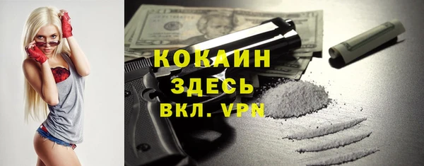 не бодяженный Новодвинск