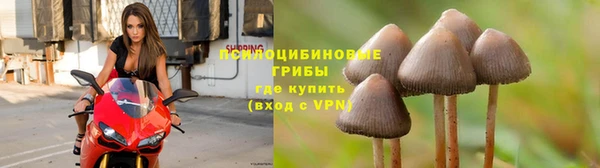 соль ск Абаза