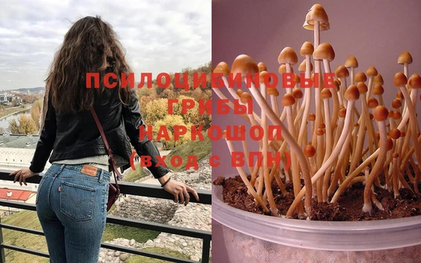 соль ск Абаза