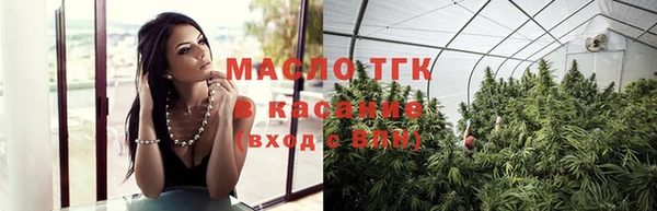молекула духа Новозыбков