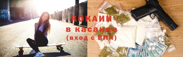 соль ск Абаза