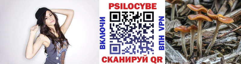 KRAKEN рабочий сайт  Полтавская  Галлюциногенные грибы GOLDEN TEACHER 